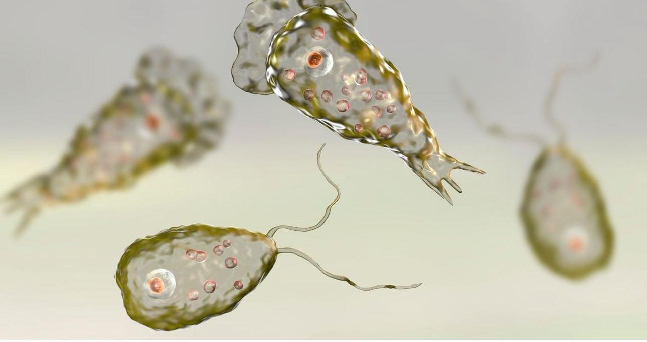 В Израиле умер мужчина, заразившийся " поедающей мозг" амебой