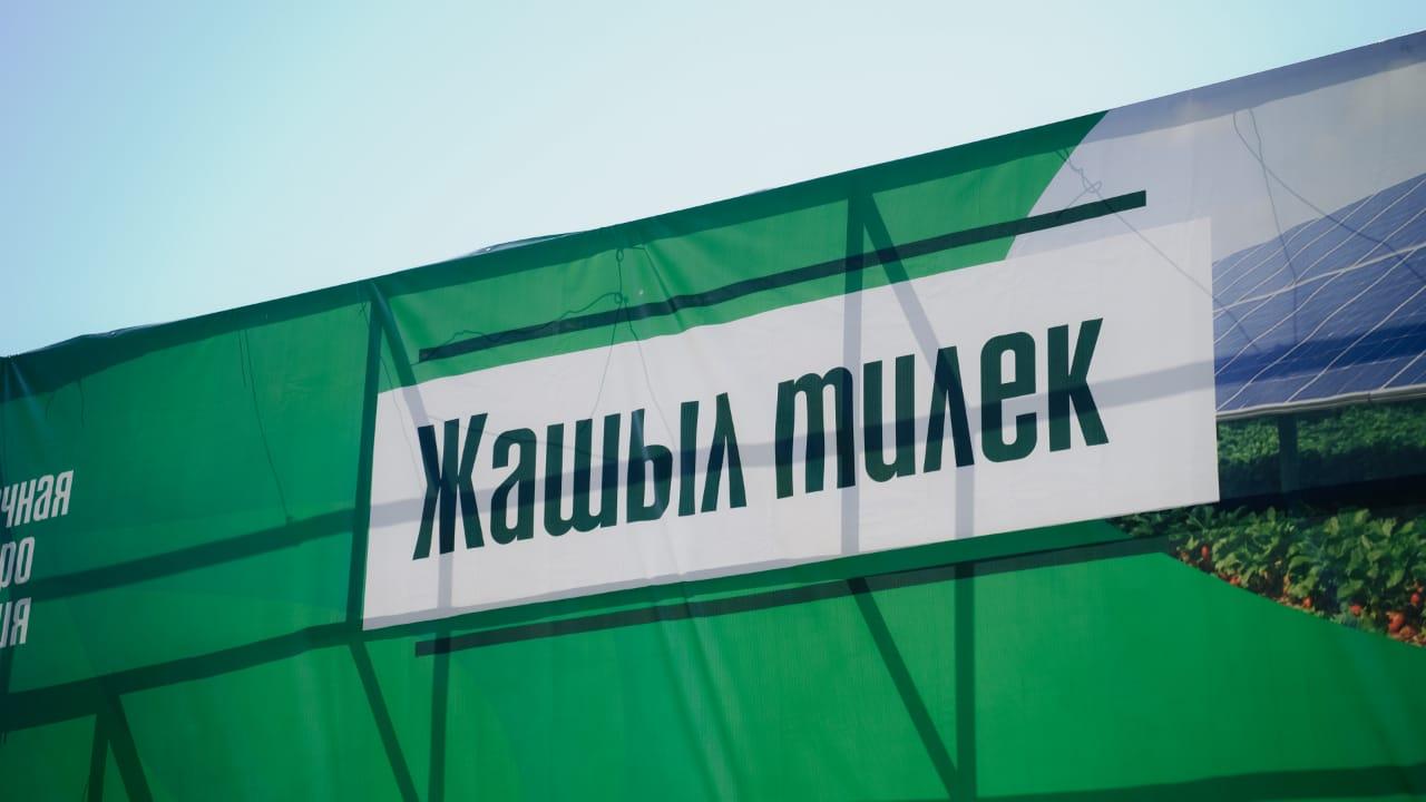 Күн панелдери астына клубника да өстүрөбүз. Баткенде уникалдуу "Агровольтайка" долбооруна старт берилди. 
&nbsp;